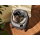 Catlink Open X samoczyszcząca kuweta dla kota szara - 1512433 - zdjęcie 3